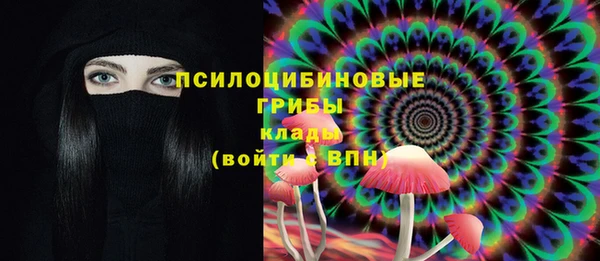 дживик Карталы