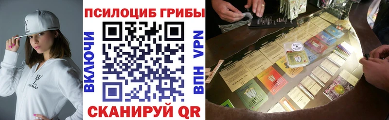 Купить закладки  Ейск  Псилоцибиновые грибы Psilocybe 